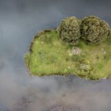 DJI_0032